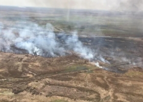 Incendios en las islas: productores ganaderos pondrán cámaras de videovigilancia cansados de que los acusen
