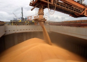 El sector agroexportador liquidó US$ 19.100 millones en el primer semestre