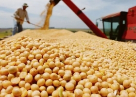 Dólares: los números que mira el Gobierno sobre la liquidación del campo
