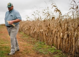 La argentinización de los farmers. Les preocupa la política y la inflación, que marcó un máximo desde 1981