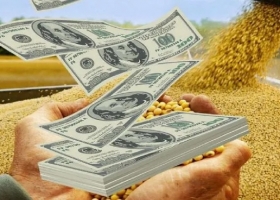 Comenzaron las operaciones con el dólar soja