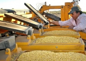 Confianza de productores del agro se hundió en julio: ¿Cuáles son las principales causas?