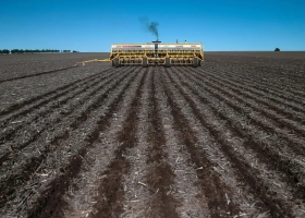 El campo deberá afrontar costos hasta un 165% más alto para volver a sembrar