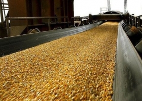 Las exportaciones del agro aportaron USD 31.000 millones en el primer semestre