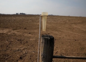 Agobiados por la falta de lluvias, en el sudeste de Córdoba los productores buscan cómo resistir