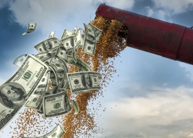 Dólar campo: evalúan darle 30% más a los sojeros para que liquiden ventas