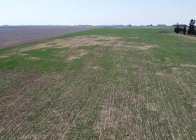 Fallaron las lluvias en la zona agrícola núcleo y se agrava la sequía