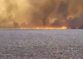 Incendios en Córdoba: el fuego llegó a los campos y zonas serranas