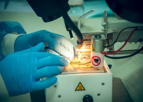 Logro argentino: cómo es la vacuna que apunta al cáncer de los bovinos