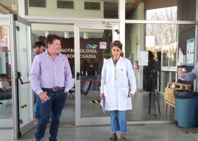 Investigadores del INTA lograron la aprobación de la primera cepa vacunal para combatir la Leucosis Bovina en el mundo: Afecta al 90% de los tambos