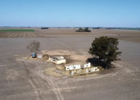 Por efecto de la sequía, la cosecha de trigo será la más baja desde 2015