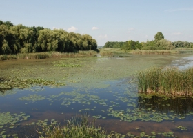 Humedales: Consejo Agroindustrial Argentino alertó que el “enfoque de legislar por ecosistemas fragmenta el territorio”