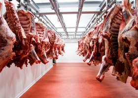 Crecen las exportaciones de carne pero se desacelera el mercado chino