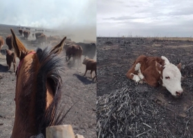 Sufrió la quema de 2100 hectáreas y cree que fue por un incendio intencional