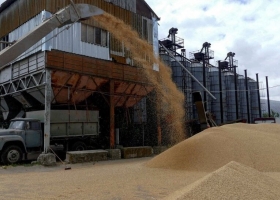 Afirman que Ucrania ya recuperó un nivel de exportaciones similar al previo a la invasión rusa
