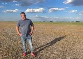 Sembró 1500 hectáreas de la legumbre favorita de los argentinos y solo cosechará 300