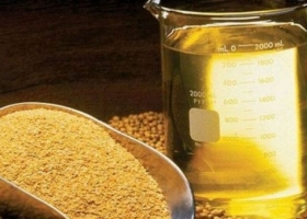 La Bolsa comenzó a publicar un panel de seguimiento de precios de harina de soja Hi-Pro