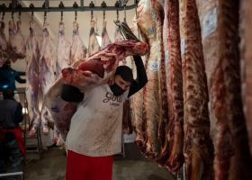 Fuerte presión de las provincias para frenar un histórico cambio en la venta de carne