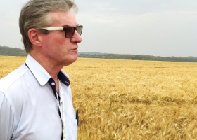 ¿Por qué triunfa el agro brasileño? Desde un campo de trigo de 90 quintales, el agrónomo Claudio Malisnki confirma que “El Cerrado es el granero de Brasil”