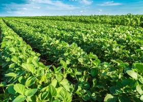 Cargill se acerca a Aapresid para certificar que la soja que vende desde Argentina sea sustentable. Ya se monitorean 1.4 millones de hectáreas de 177 productores.