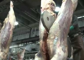 El mismo gobierno que ordena cortar la media res en trozos traba las importaciones de las sierras necesarias para hacerlo