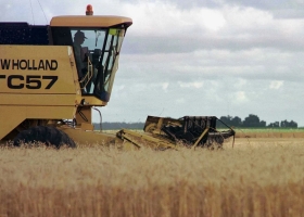 En los últimos dos meses se vendió menos trigo que hace 20 años y se perderán exportaciones por US$1400 millones