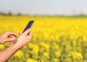 El Senasa lanza un nuevo canal de atención por Whatsapp