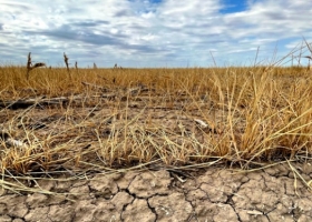 Según un informe de los expertos de la Facultad de Agronomía, la sequía severa podría continuar hasta febrero