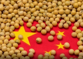 Se detuvo el crecimiento de la demanda china de poroto de soja