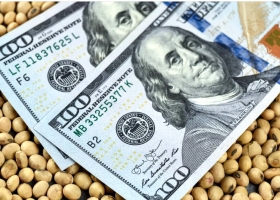 Con el Banco Central en sangría y versiones de otro dólar soja el campo tiene para vender más de US$7000 millones