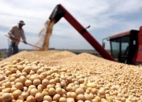 Alerta reservas: el ingreso de divisas del agro caerá más de US$11.000 millones en 2023