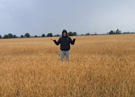 Con la suerte echada para el trigo tras las lluvias se reactivará la siembra de soja