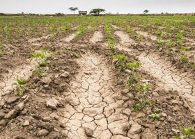 Emergencia agropecuaria en Buenos Aires ya se pueden presentar las declaraciones juradas