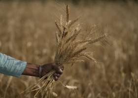 Creció la tensión en la zona del Mar Negro tras la caída de misiles en Polonia y subió el valor de los cereales en Chicago