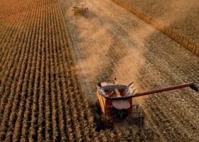 Nuevo récord para la venta de un campo agrícola en Estados Unidos se pagaron 75.000 dólares por hectárea