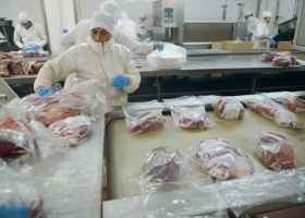 La producción de carne vacuna es la segunda más importante de los últimos cinco años