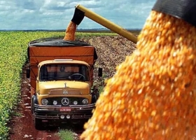 La producción de granos podría encaminarse a partir de las últimas lluvias