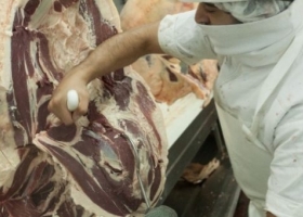 Unica propone implementar el troceo en forma progresiva, empezando con medios mecánicos