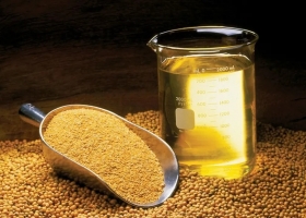 Pese a una dura sanción de EE.UU la industria aceitera argentina le encontró la vuelta a un negocio
