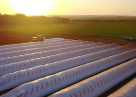 Los productores están vendiendo poca soja y maíz