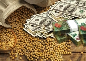 Ya es oficial el regreso del dólar soja y el Gobierno promete una proporción a dos sectores