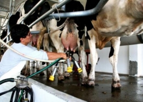 Que nos dejen producir, eso queremos los que producimos leche El reclamo de la FAA a Massa