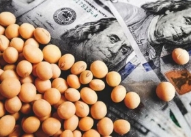 Dolar Soja: Se vendieron más de 1,7 millones de toneladas del grano