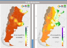 Advierten que se necesitarán lluvias semanales para evitar más pérdidas en soja y maíz