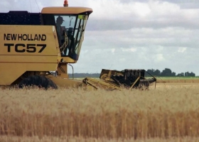 Se derrumbó el ingreso de camiones con trigo a los puertos y este mes se exportará un tercio de 2021