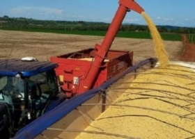 Productores vendieron 77% de la soja y 73% del maíz 2022