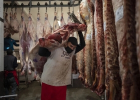 Las provincias piden cambios a una medida para la carne que quiere aplicar el Gobierno