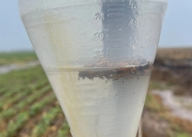 Con lluvias, 2023 empezó mejor para el campo