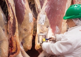 Desde el Consorcio ABC piden mejorar la competitividad exportadora y garantizar el fin de la media res al hombro