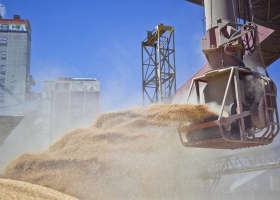 Soja 2022/23: la venta viene muy demorada y estos son los tips para aprovechar